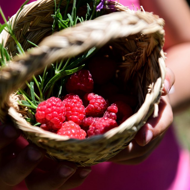Vale do Ninho - Casa Noitibó
