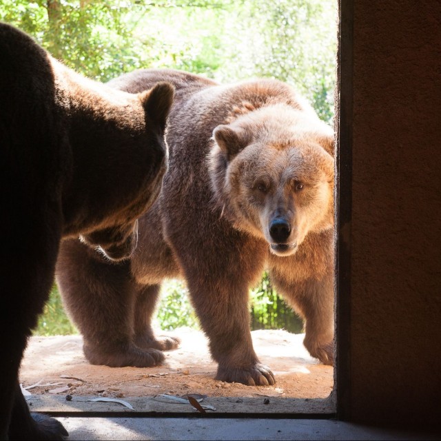 Hotel Parque Serra da Lousã