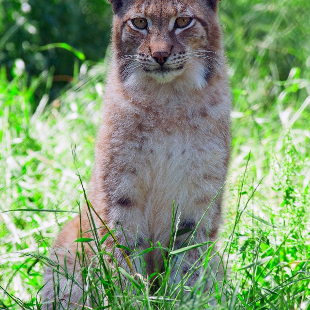 Hotel Parque Serra da Lousã