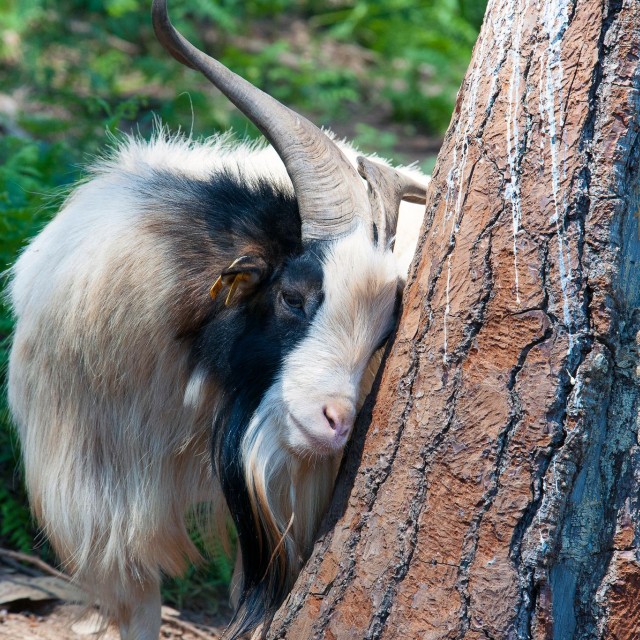 Hotel Parque Serra da Lousã