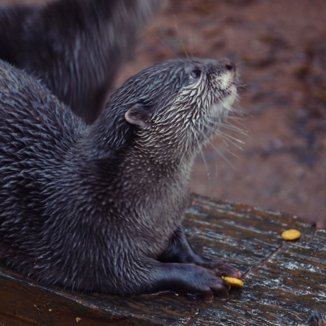 Hotel Parque Serra da Lousã
